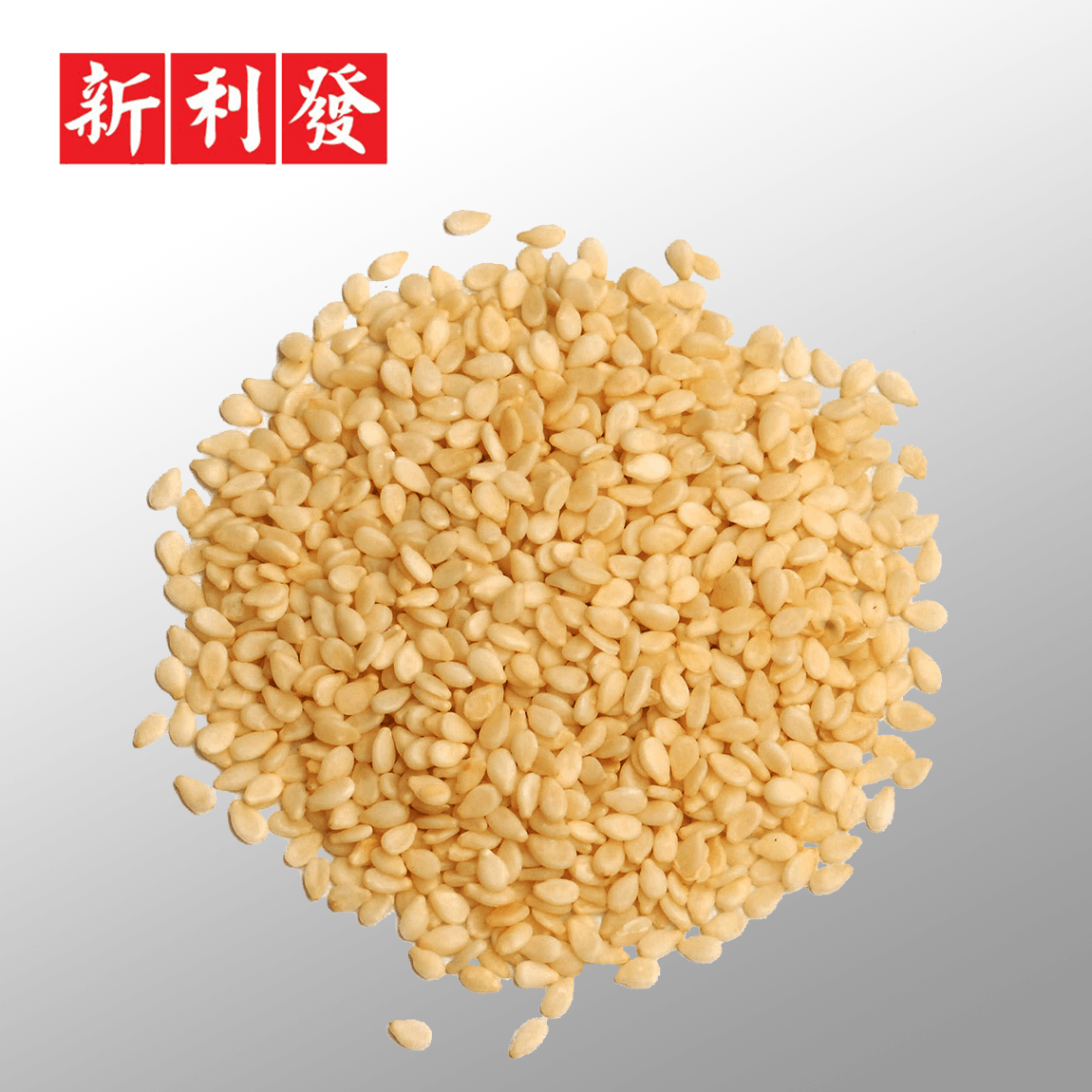 Bijan Putih Indonesia 印度 白芝麻